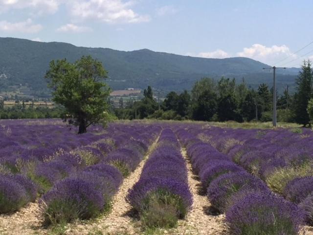 Logis Hotel Du Midi Salon-de-Provence Exteriér fotografie